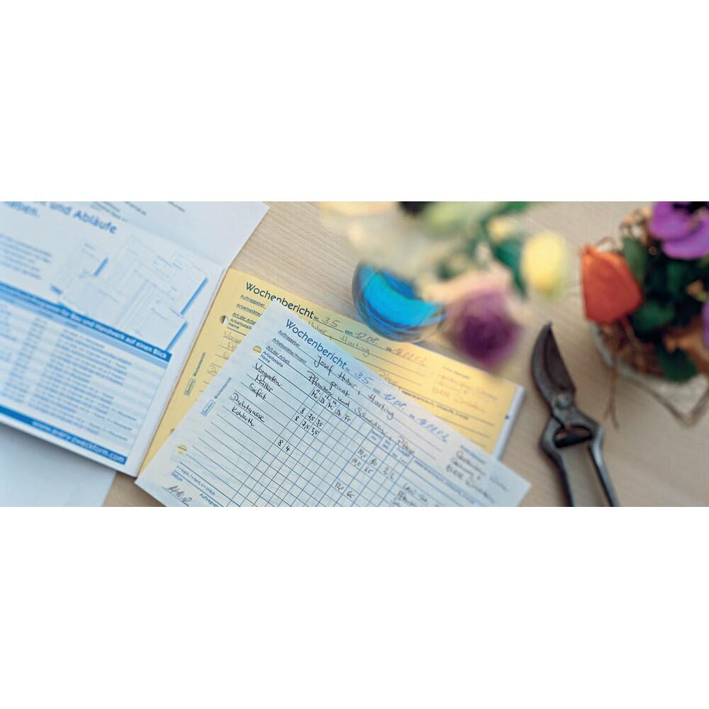 AVERY Zweckform Wochenrapport Formularbuch 1310 - 1 x 100 Blatt