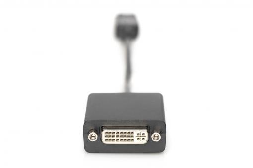 DIGITUS DisplayPort-Adapterkabel - DisplayPort / DVI-D 0,15m
