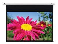 Optoma DE-1123EGA motorisierte Leinwand Wand-/Deckenmontage, 16:10, (123') 312 cm