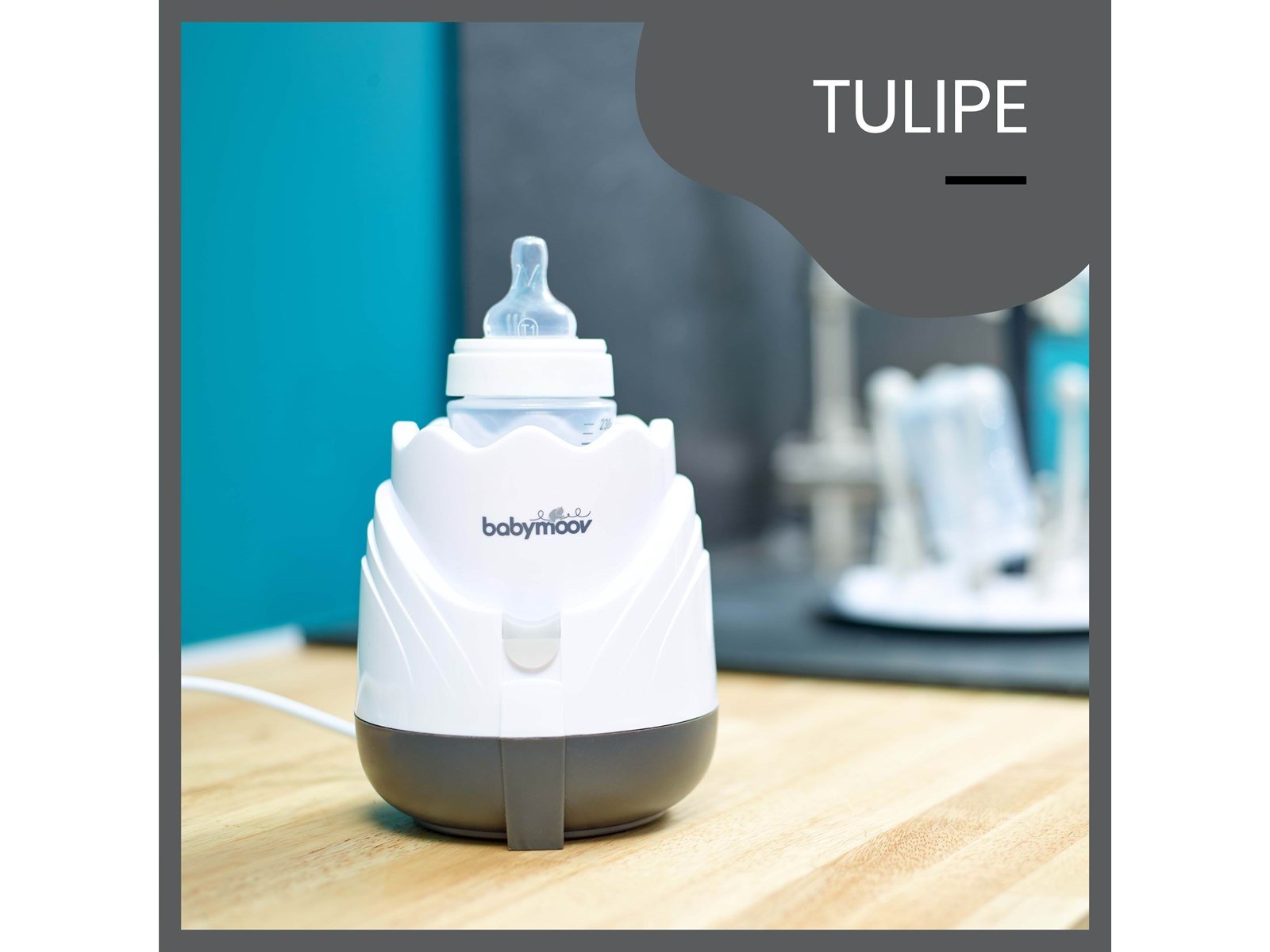 Babymoov Tulip Steam Bottle Warmer