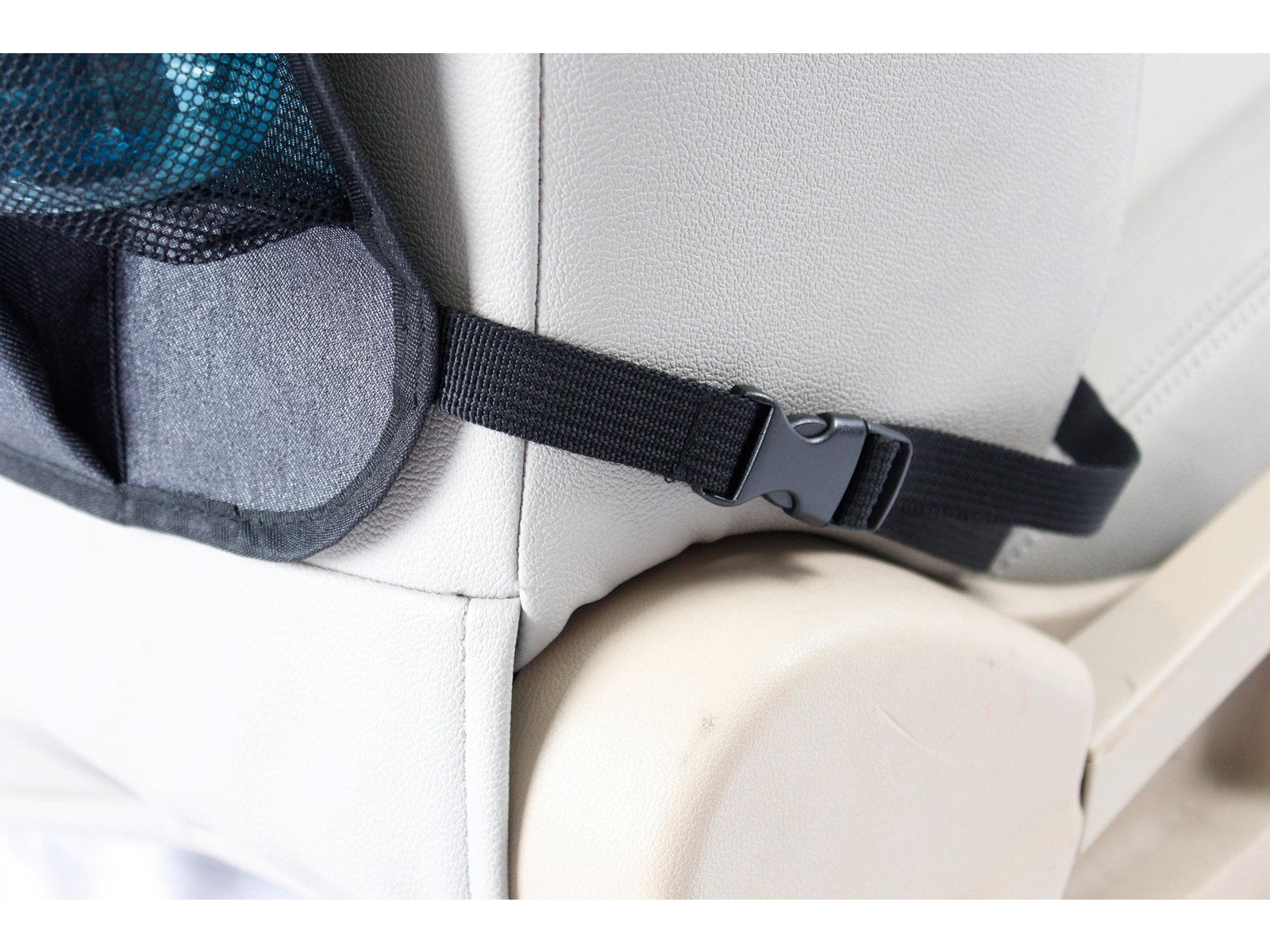 BabyDan Back Seat Organizer