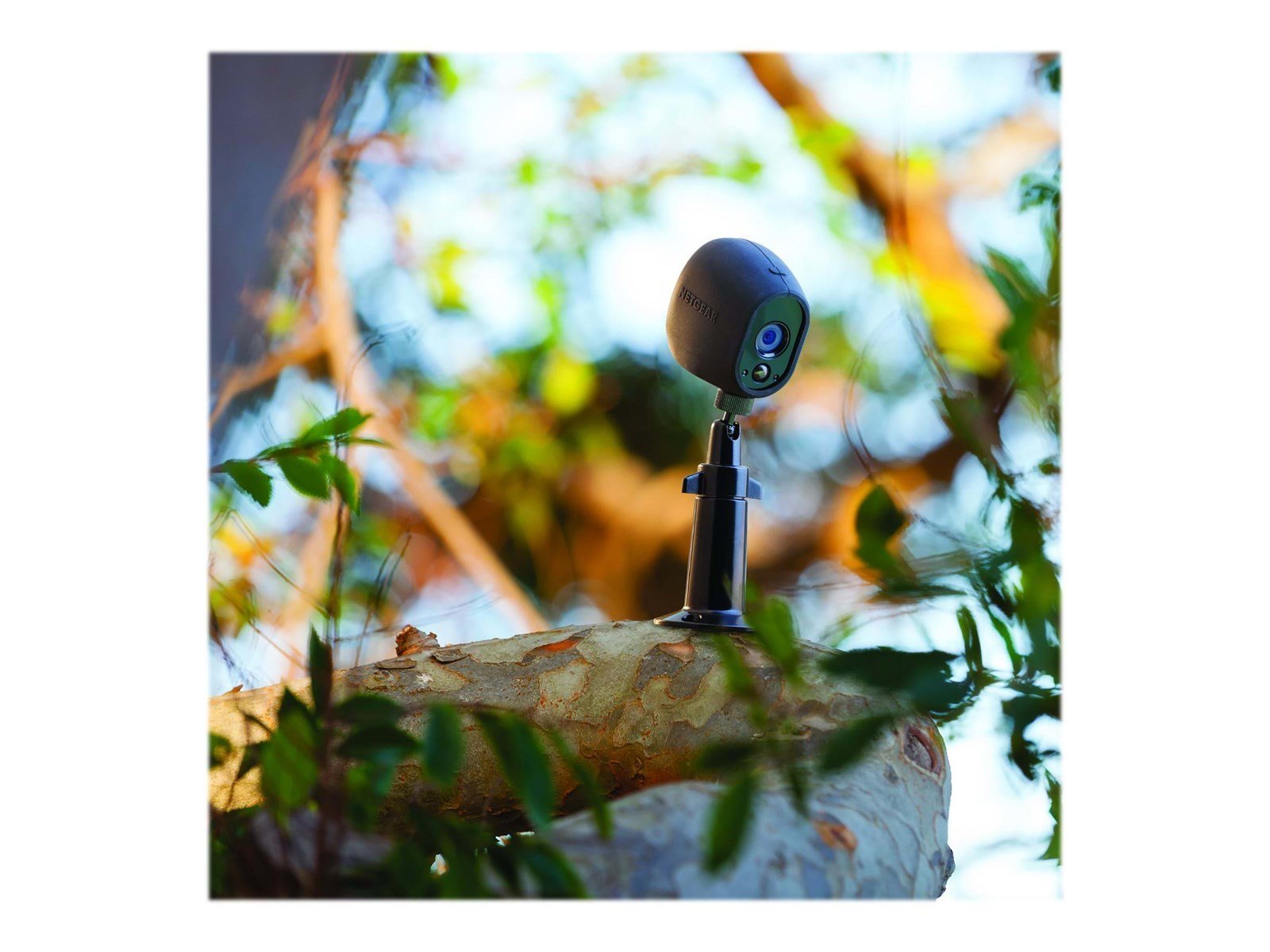 Arlo Adjustable Wall Mount Outdoor - Black