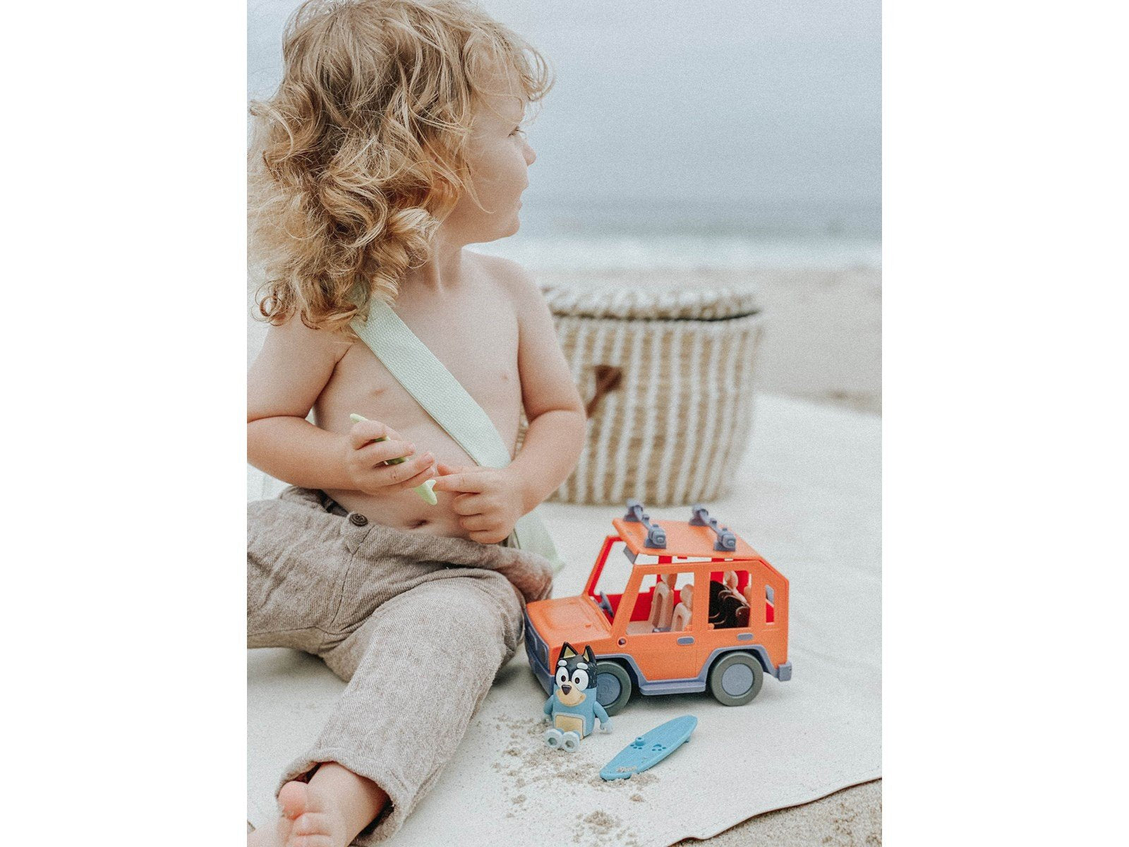 Bluey Family Cruiser 4WD