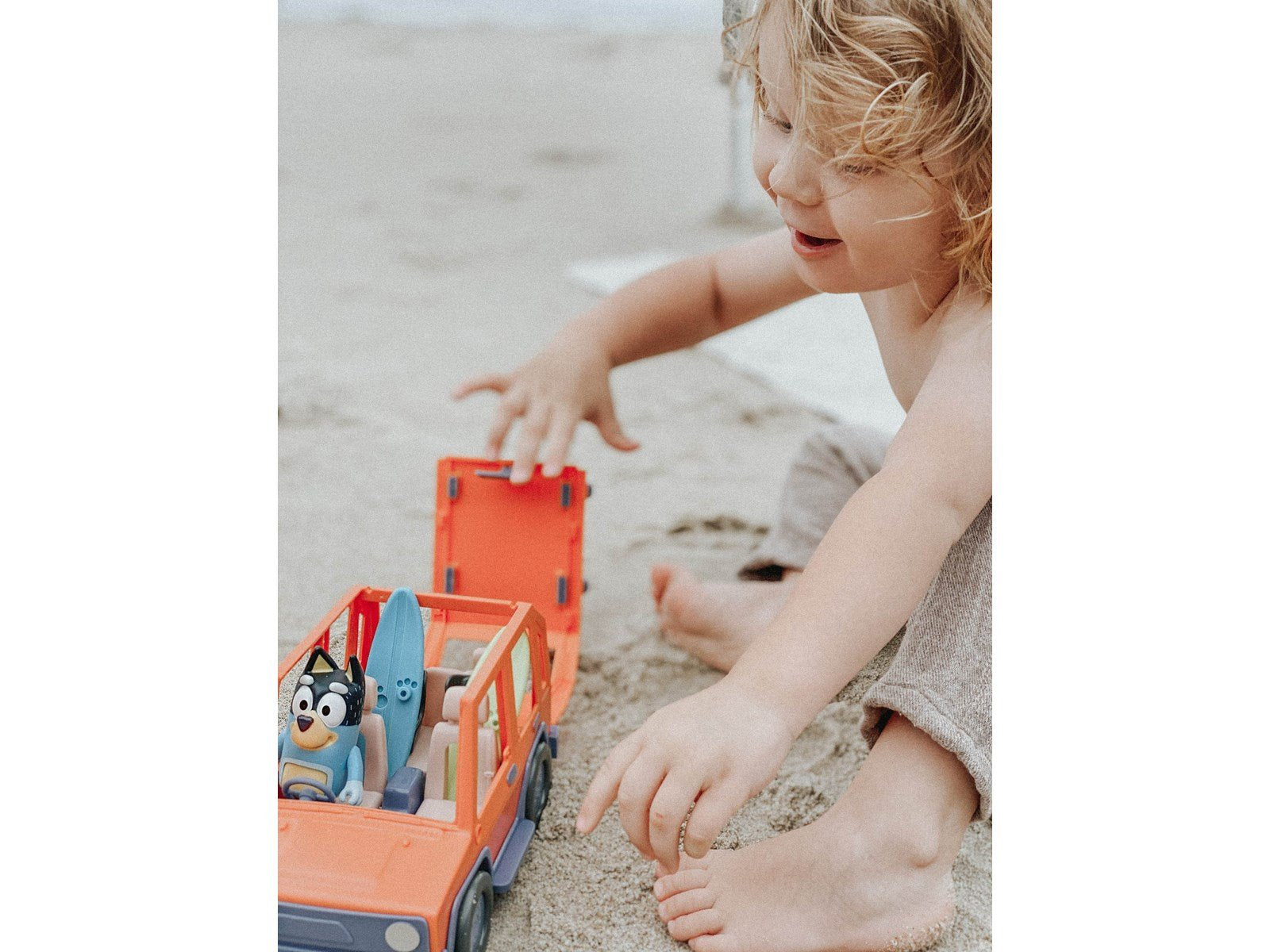 Bluey Family Cruiser 4WD