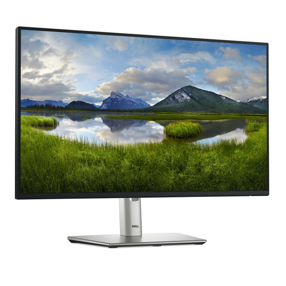 Dell 61.0cm (24")   P2425HE 16:9 HDMI+DP+USB-C+VGA IPS Lift reta