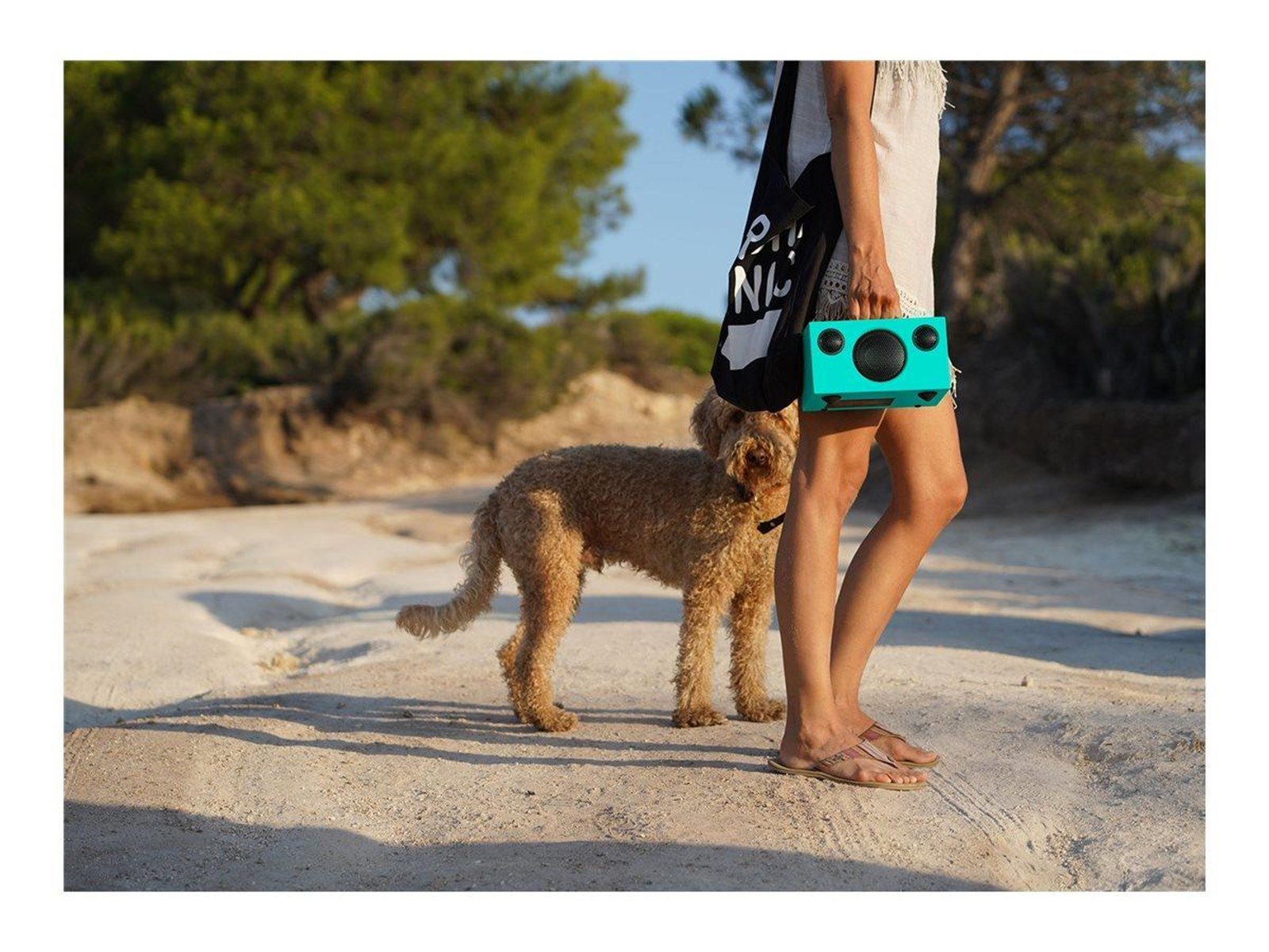 Audio Pro Addon T3+ Limited Edition