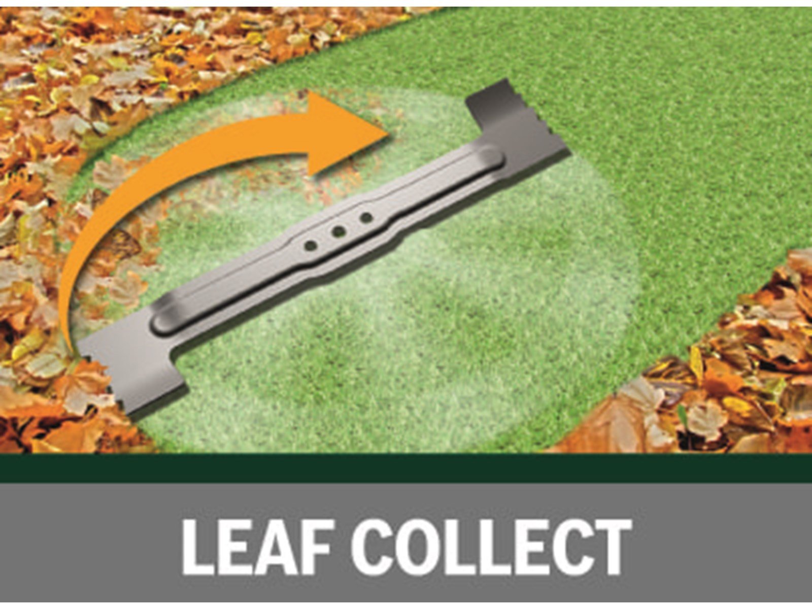 Bosch Zubehör Ersatzmesser für Rotak 43 LI