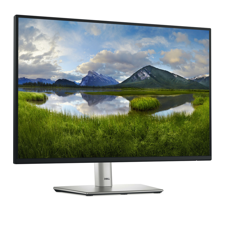 Dell 61.0cm (24")   P2425 16:10 HDMI+DP+USB-C+VGA IPS Lift retai