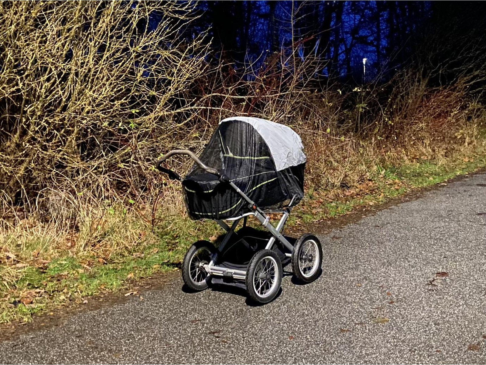 BabyDan SuperSafe Mosquito Net by  - Reflective mosquito net for pram