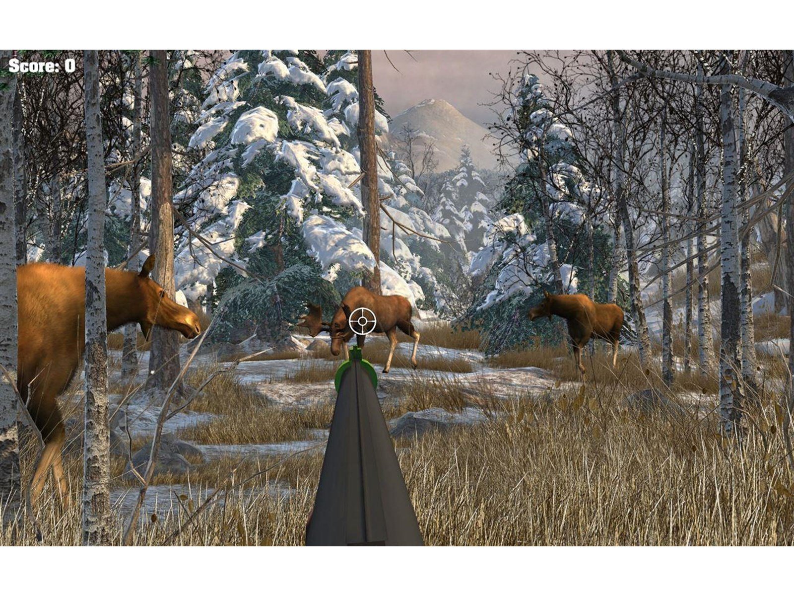 Big Buck Hunter Arcade - Sony PlayStation 4 - Jagd - PEGI 16