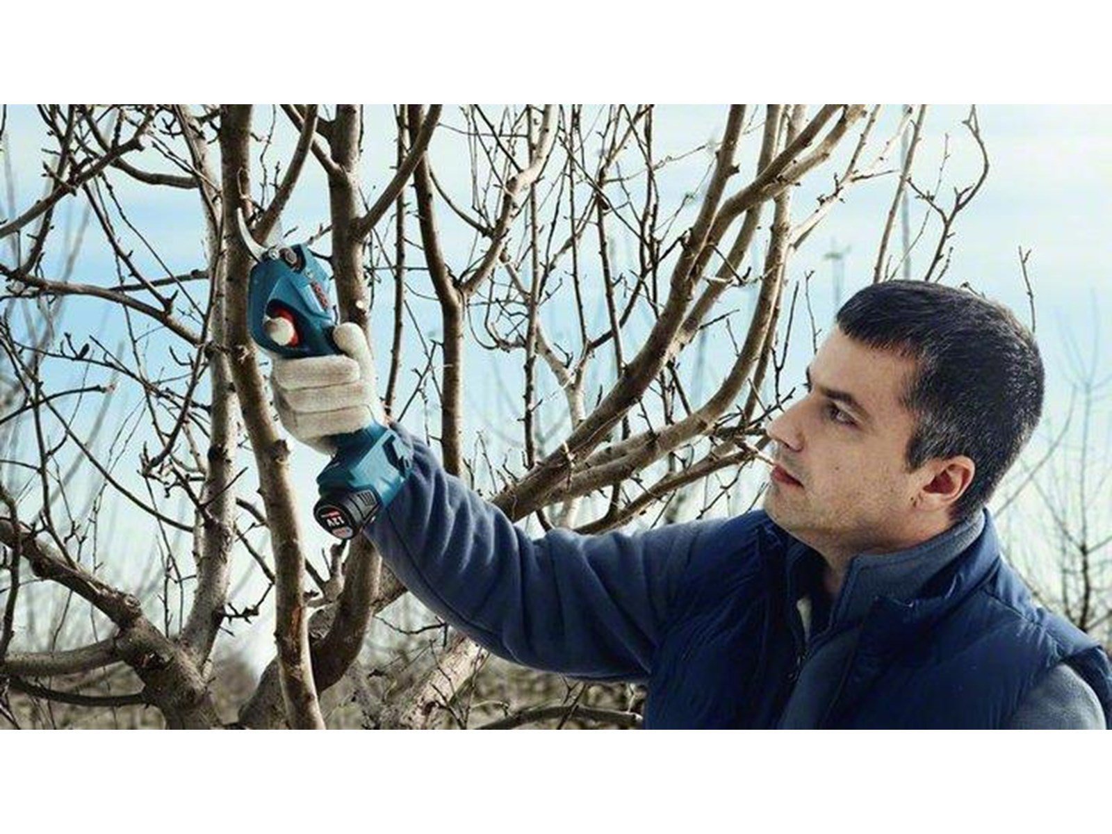 Bosch PRO PRUNER PROFESSIONAL CORDLESS SECATEUR
