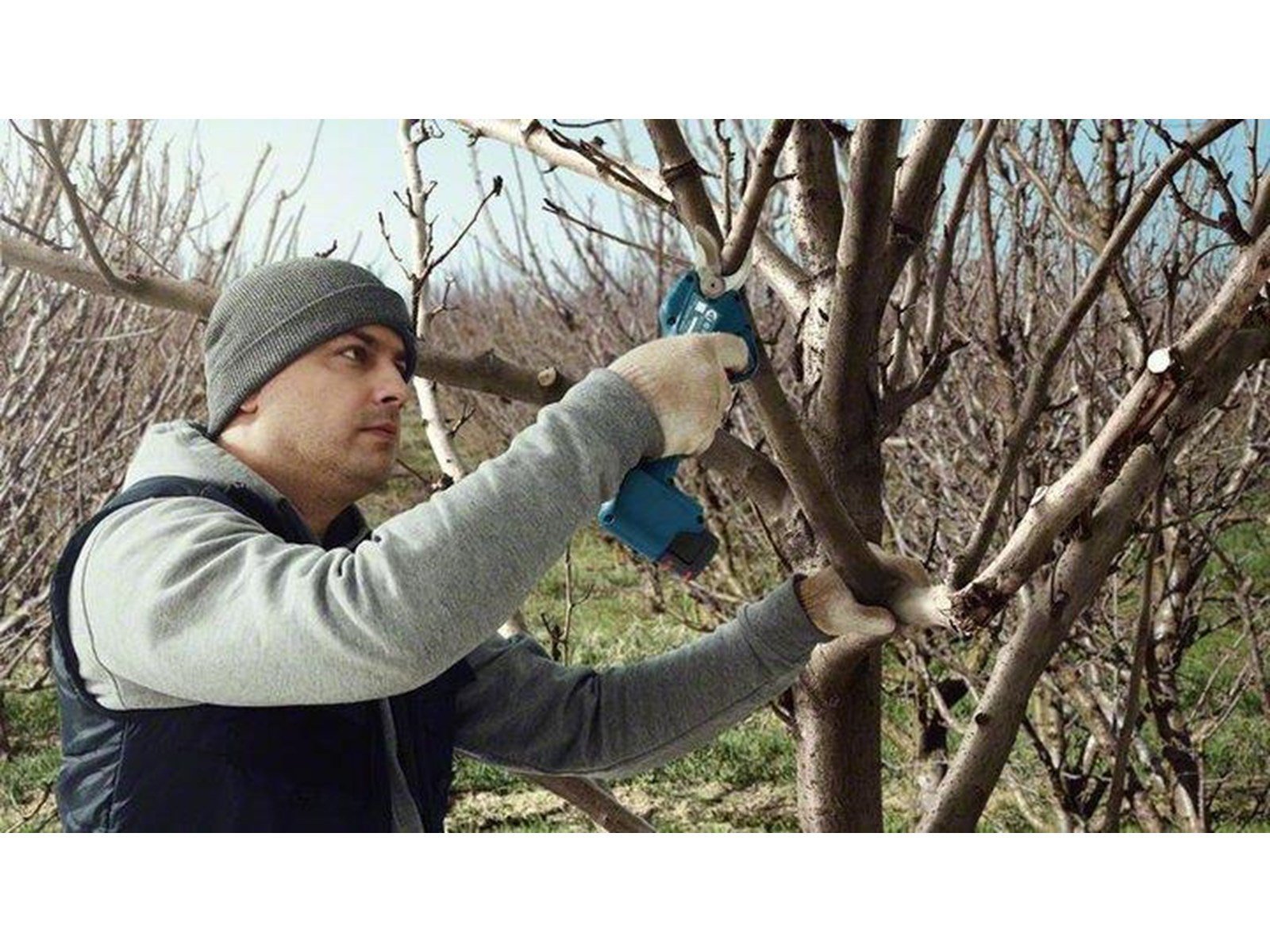 Bosch PRO PRUNER PROFESSIONAL CORDLESS SECATEUR