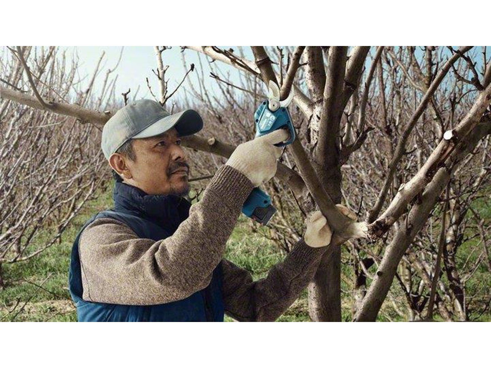 Bosch PRO PRUNER PROFESSIONAL CORDLESS SECATEUR