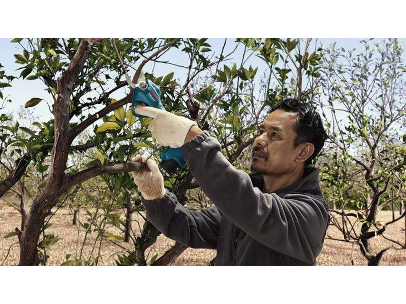 Bosch PRO PRUNER PROFESSIONAL CORDLESS SECATEUR