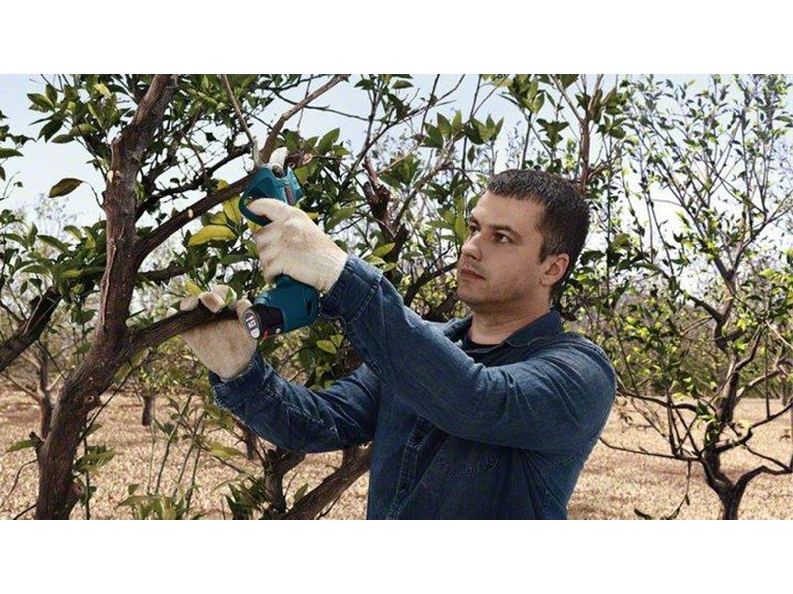 Bosch PRO PRUNER PROFESSIONAL CORDLESS SECATEUR