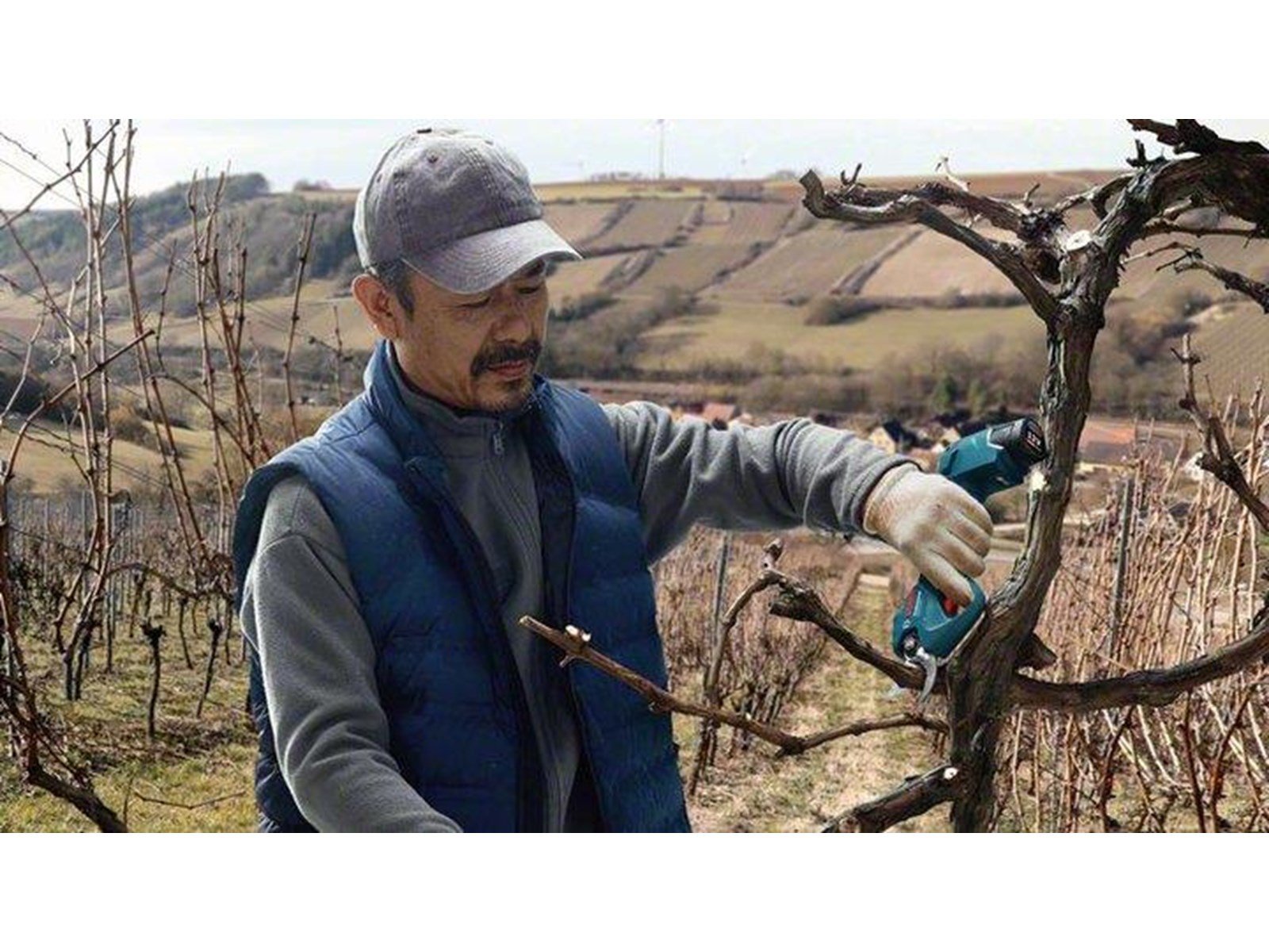 Bosch PRO PRUNER PROFESSIONAL CORDLESS SECATEUR