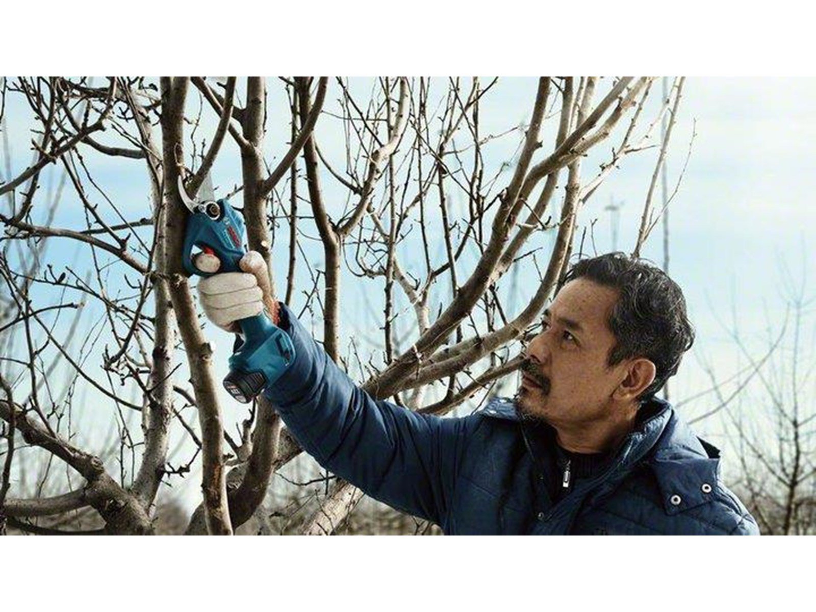 Bosch PRO PRUNER PROFESSIONAL CORDLESS SECATEUR