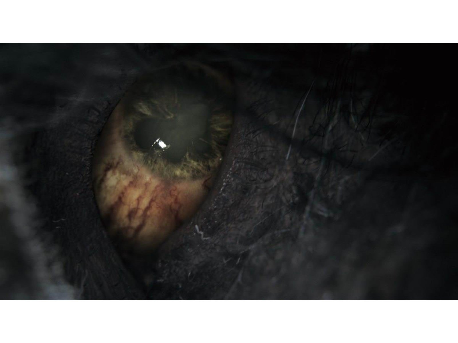 Bloodborne (GOTY Edition) - Sony PlayStation 4 - RPG - PEGI 16