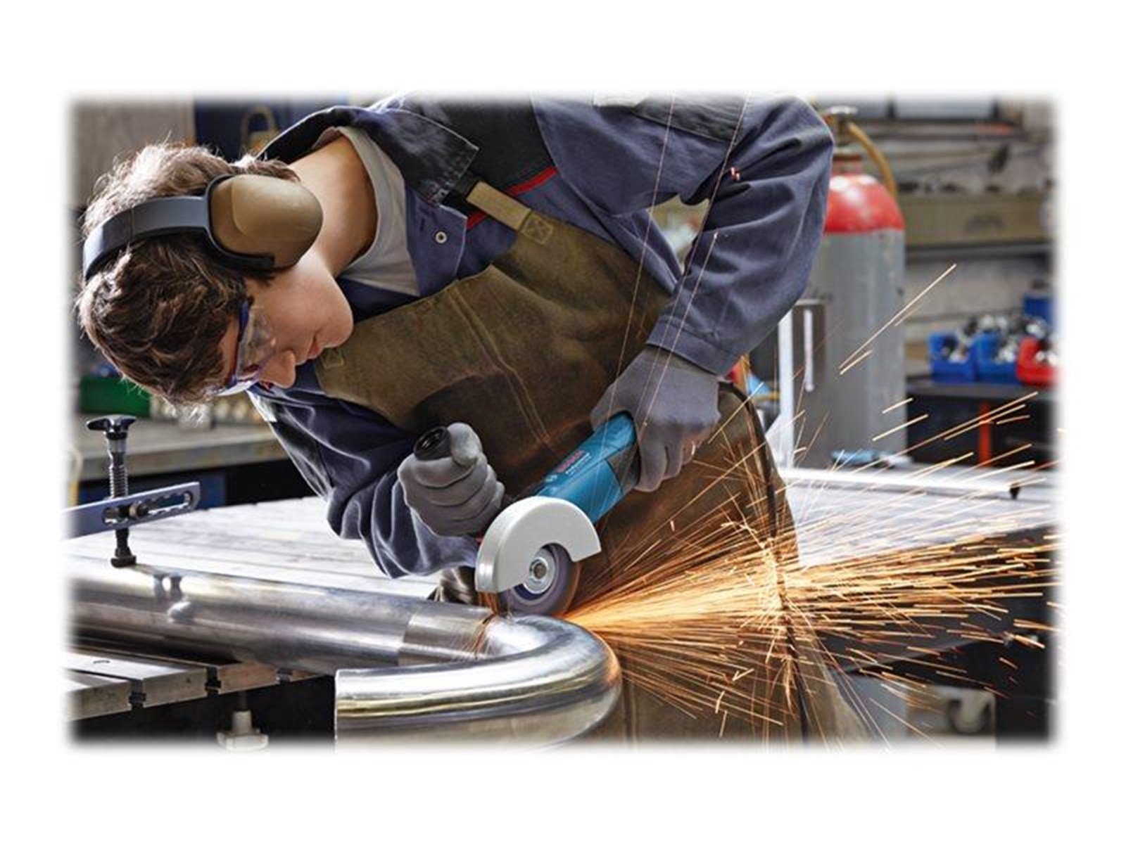 Bosch Professional GWS 17-125 INOX Professional