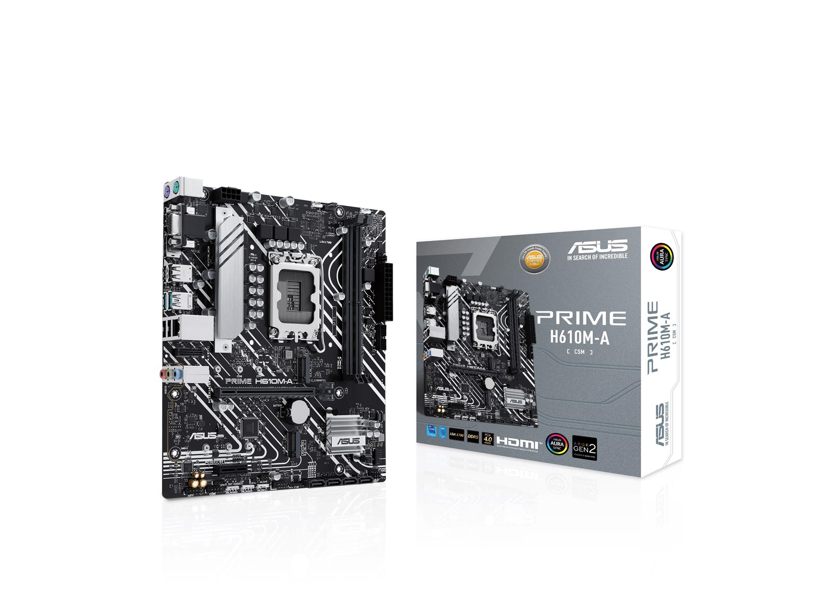 ASUS PRIME H610M-A-CSM Mainboard - Intel H610 - Intel LGA1700 socket - DDR5 RAM - Micro-ATX