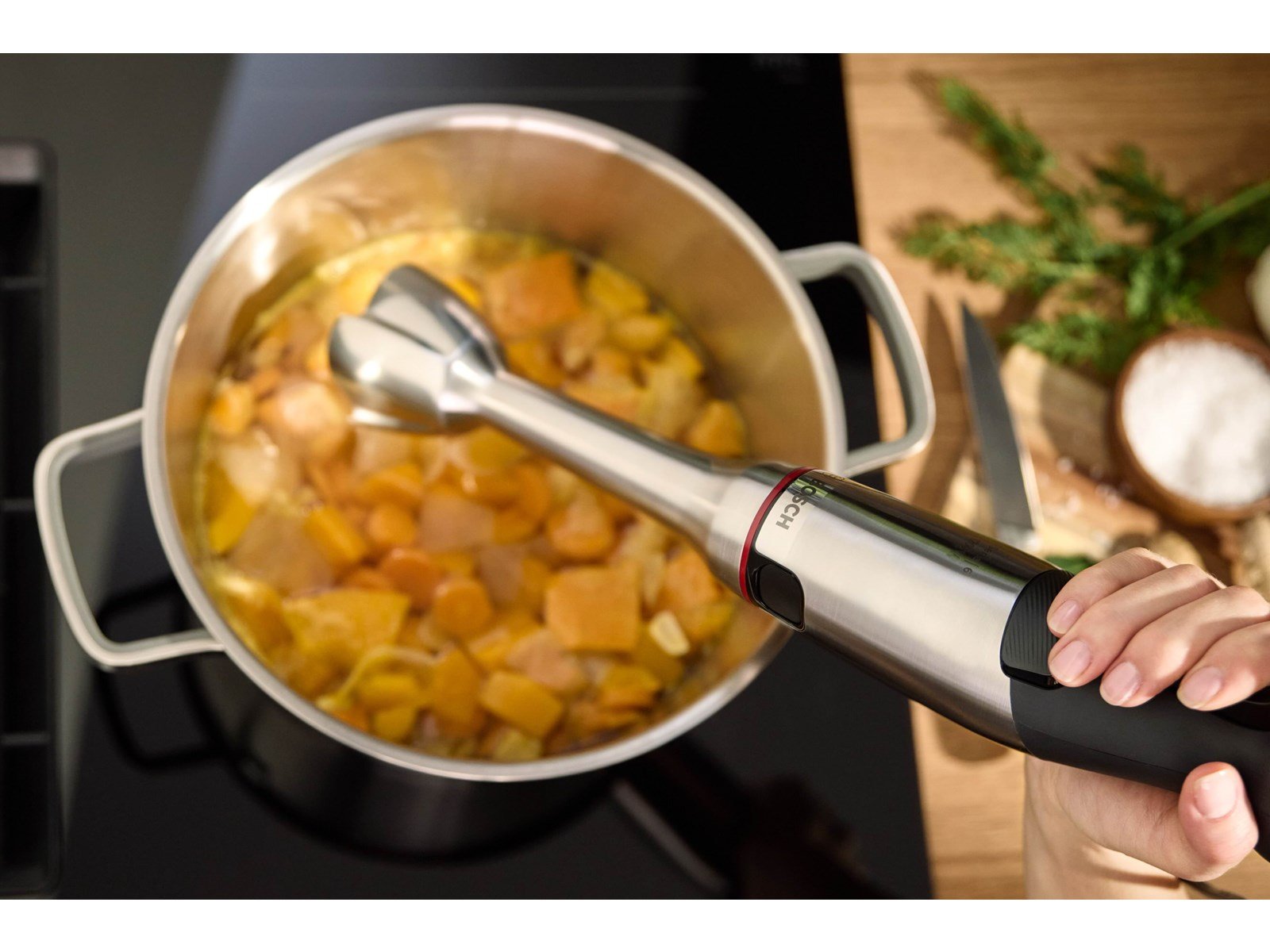 Bosch Stabmixer ErgoMaster Series 6 MSM6M810 - 1200 W