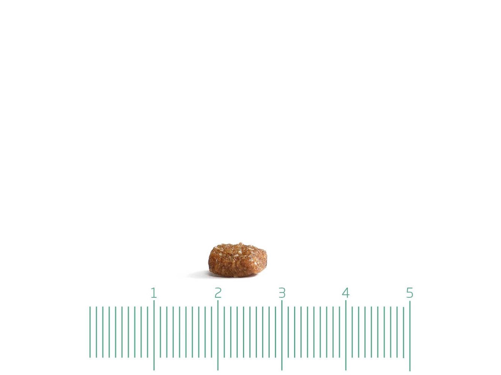 ARION - Cat food - Original Fit - Chicken - 2 kg