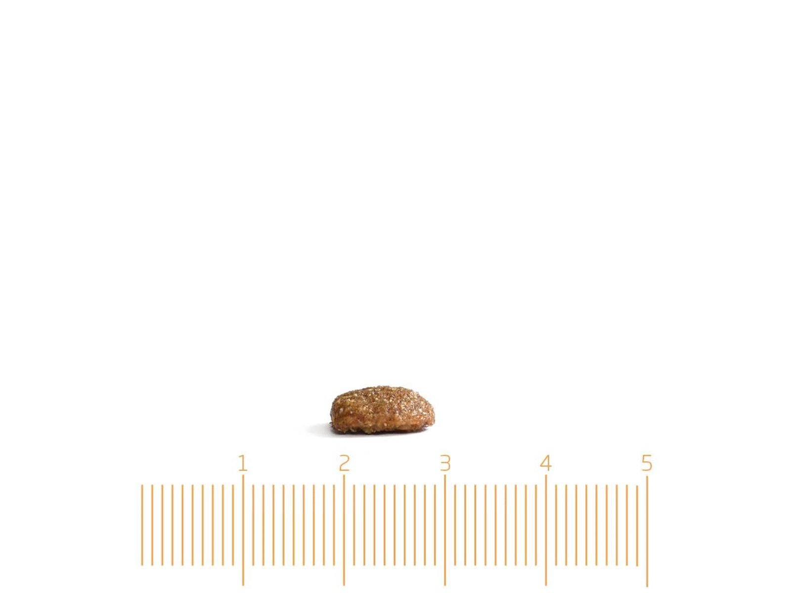 ARION Original Urinary 34/13 2kg