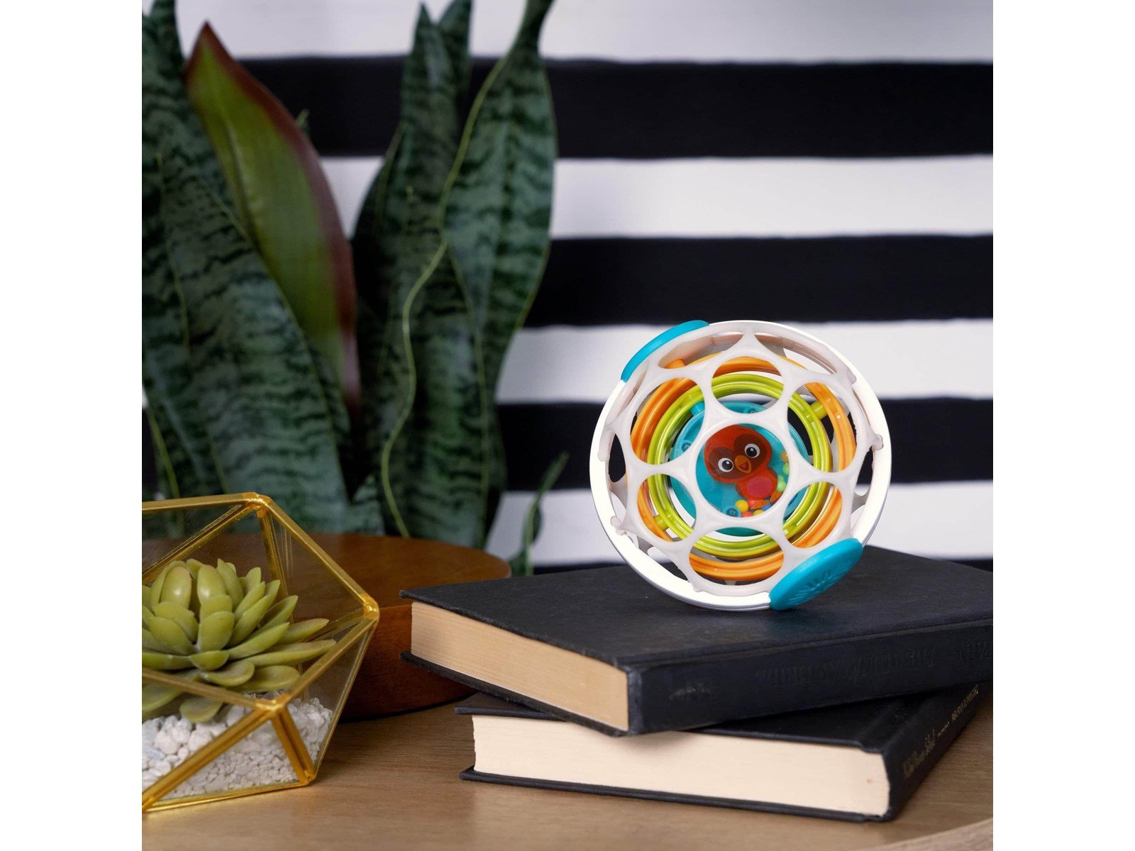 Baby Einstein Roxy’s Gyroscope