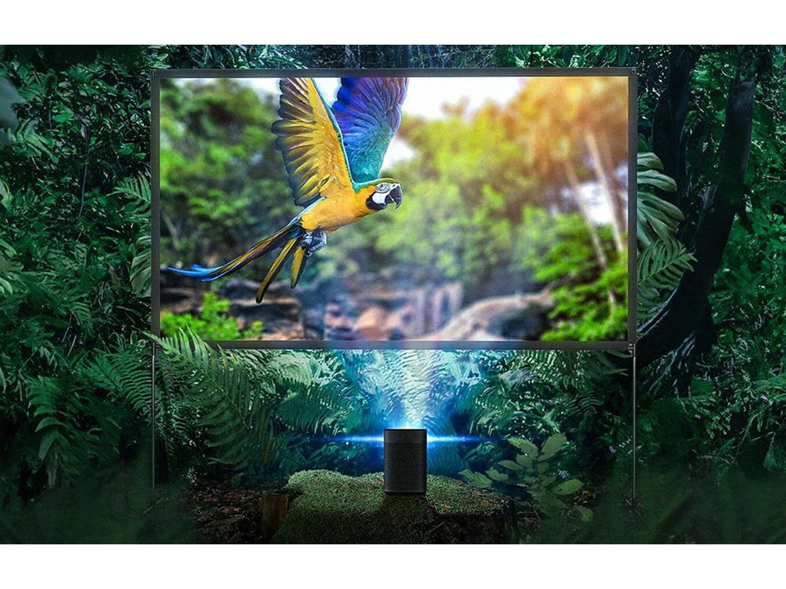 BlitzWolf Projektoren portable projection screen 100