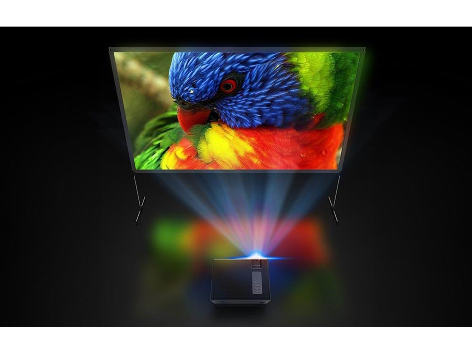 BlitzWolf Projektoren portable projection screen 100