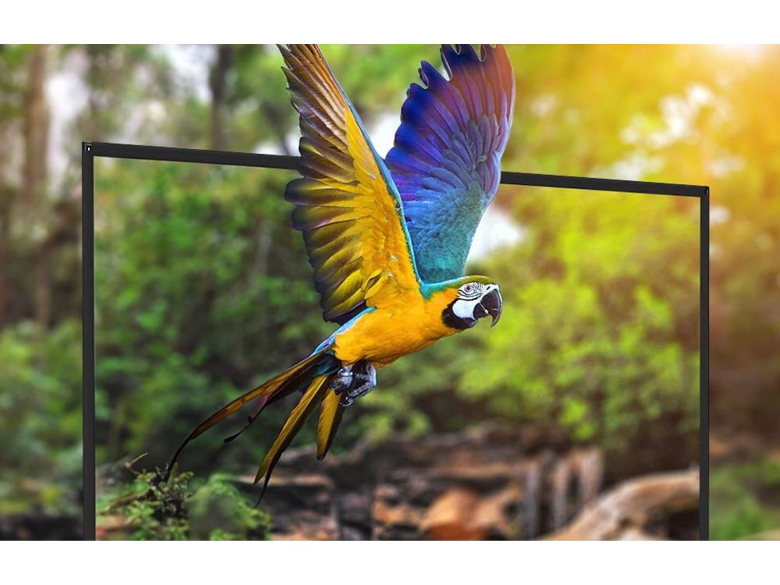 BlitzWolf Projektoren portable projection screen 100