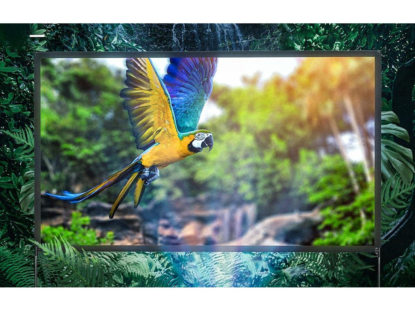 BlitzWolf Portable projection screen 80