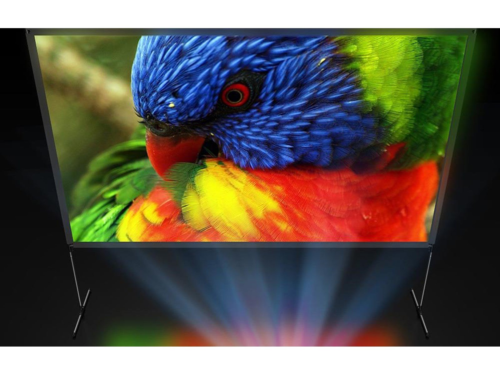 BlitzWolf Portable projection screen 80