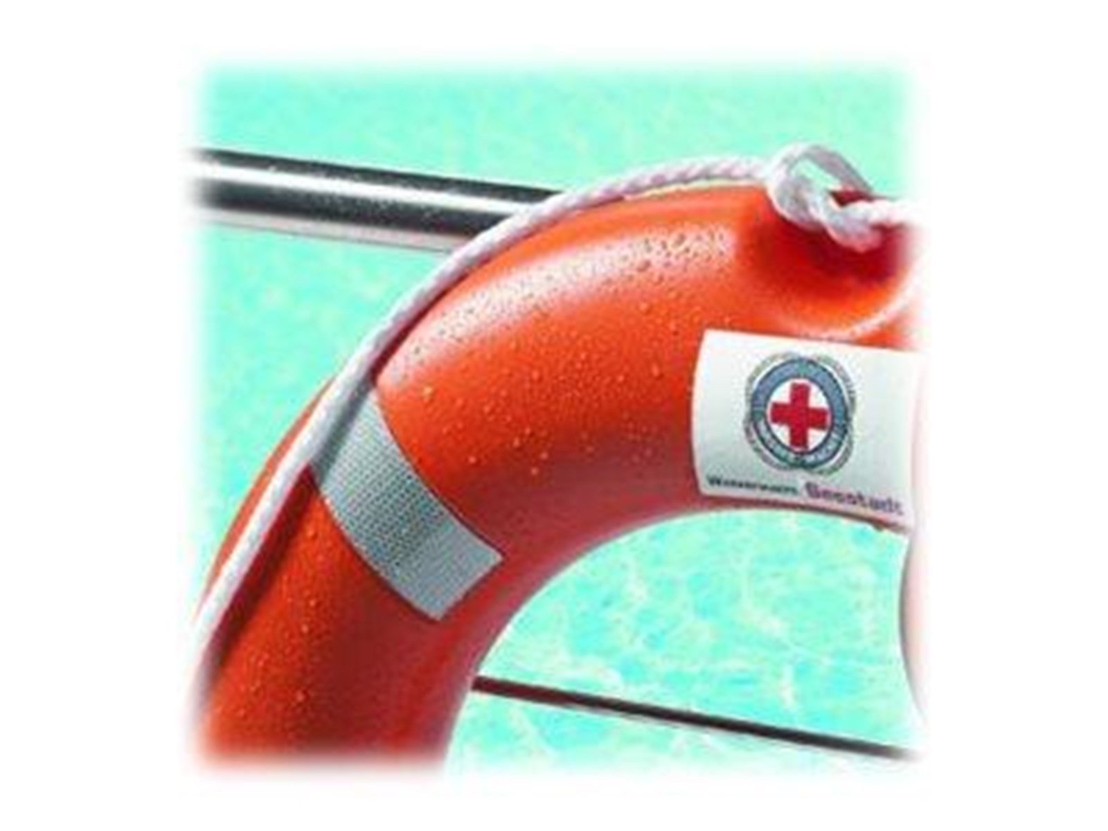 Avery Zweckform L7913-10 - labels - matte - 120 label(s) - 99.1 x 42.3 mm