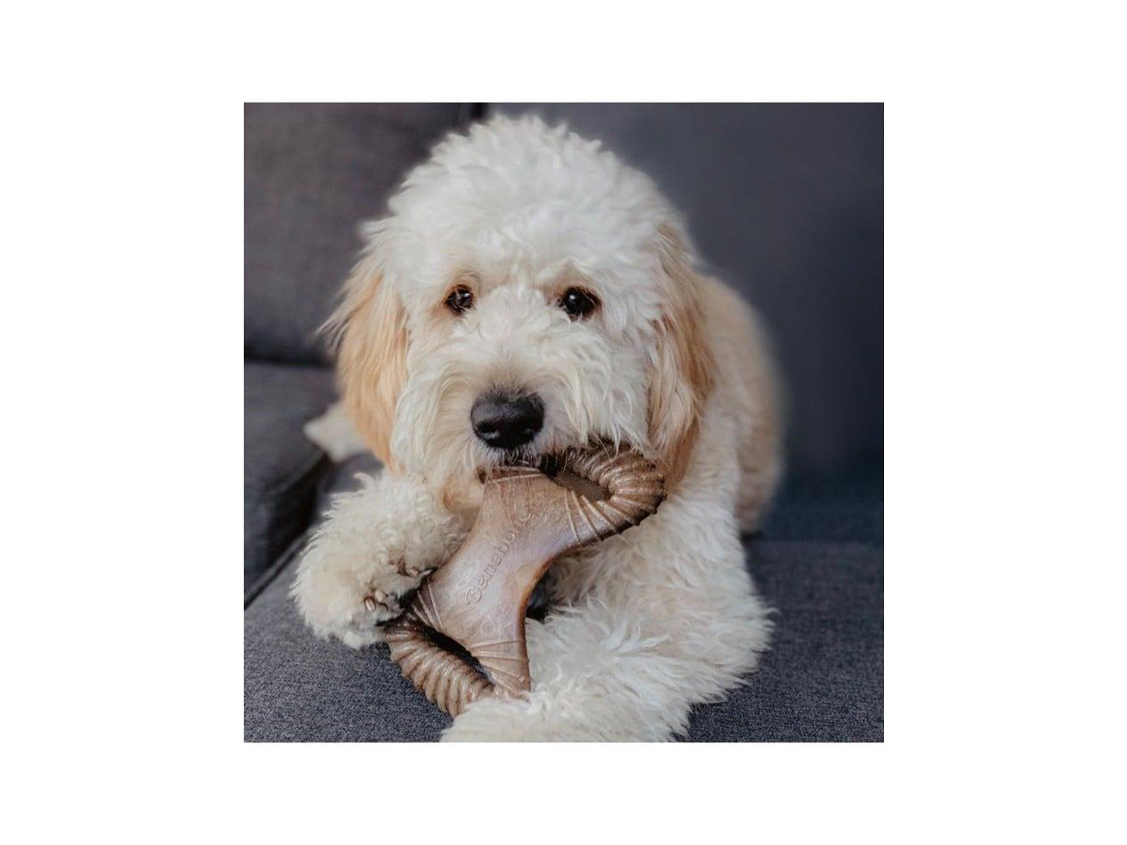 Benebone - Dental Chew Bacon L 21cm - (85411100428)