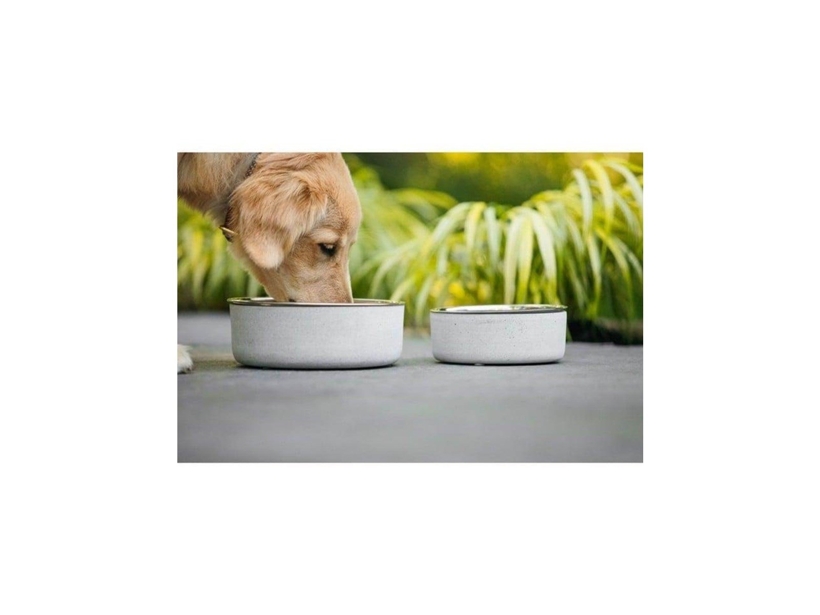 Beonebreed Be One Breed - Food & Water Bowl - 1400ml - Concrete (66257821192)