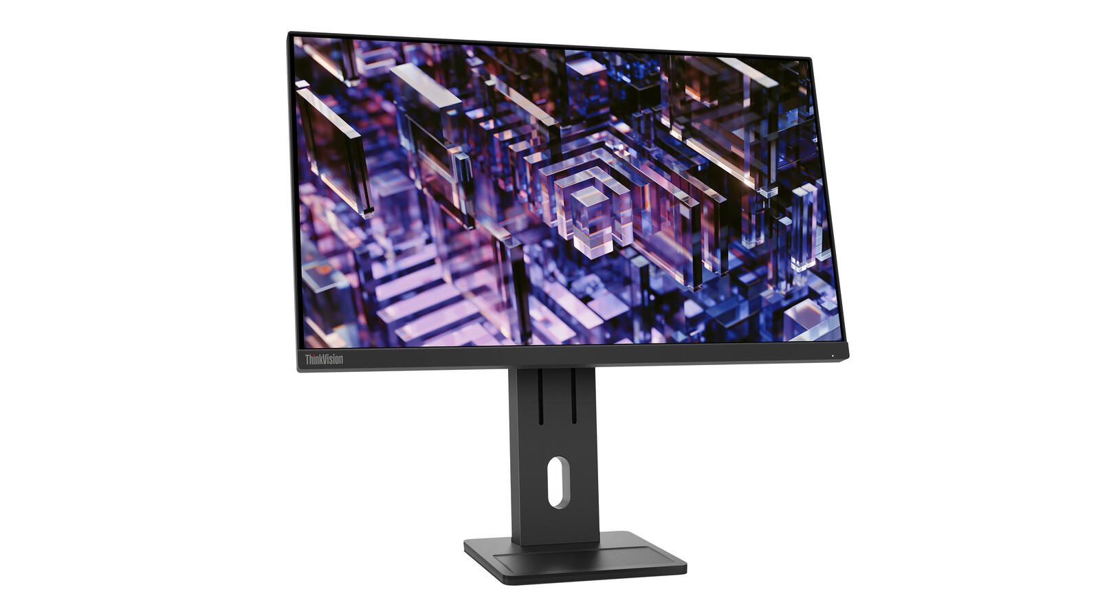 Lenovo ThinkVision E24q-30 2K Ultra HD Display 60,5 cm (23.8')