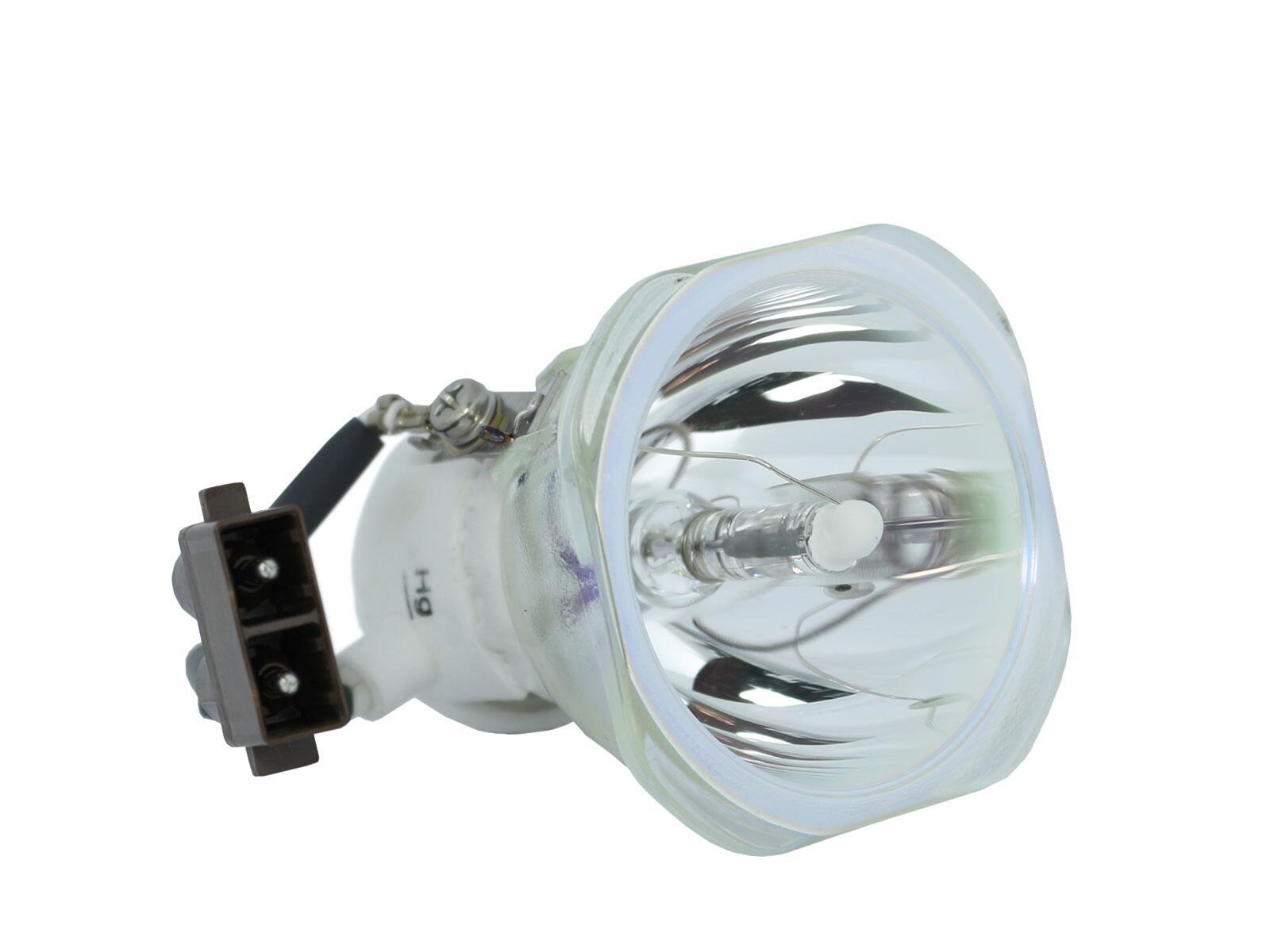 Beamerlampe (nur Leuchtmittel) für TOSHIBA (ersetzt: TLPLW10)