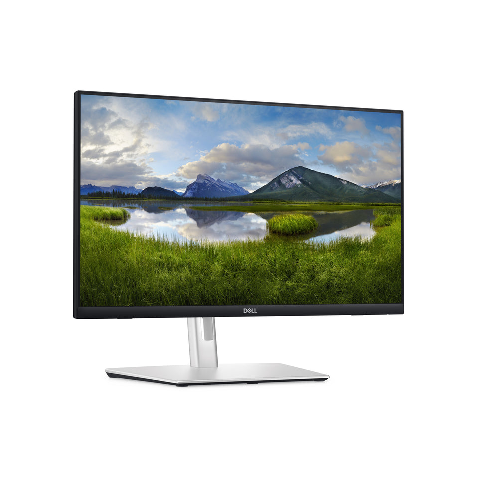 Dell 60.9cm (23,8") P2424HT 16:09 HDMI+DP+USB-C IPS Lift retail