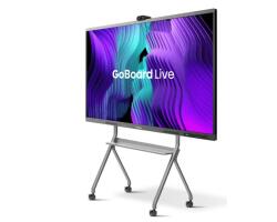 Hisense 65MR6DE GoBoard Live interaktives Touchdisplay 165 cm (65')