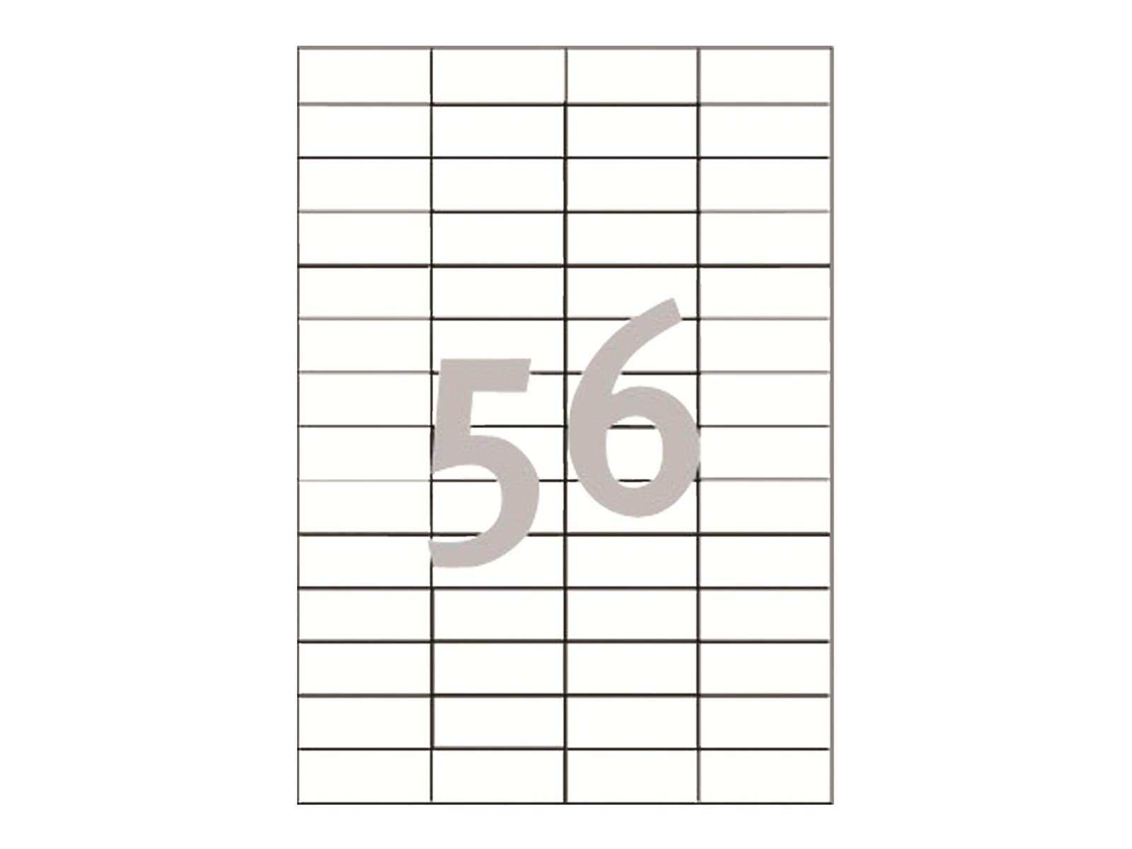 Bissell - CrossWave HF3 Filter
