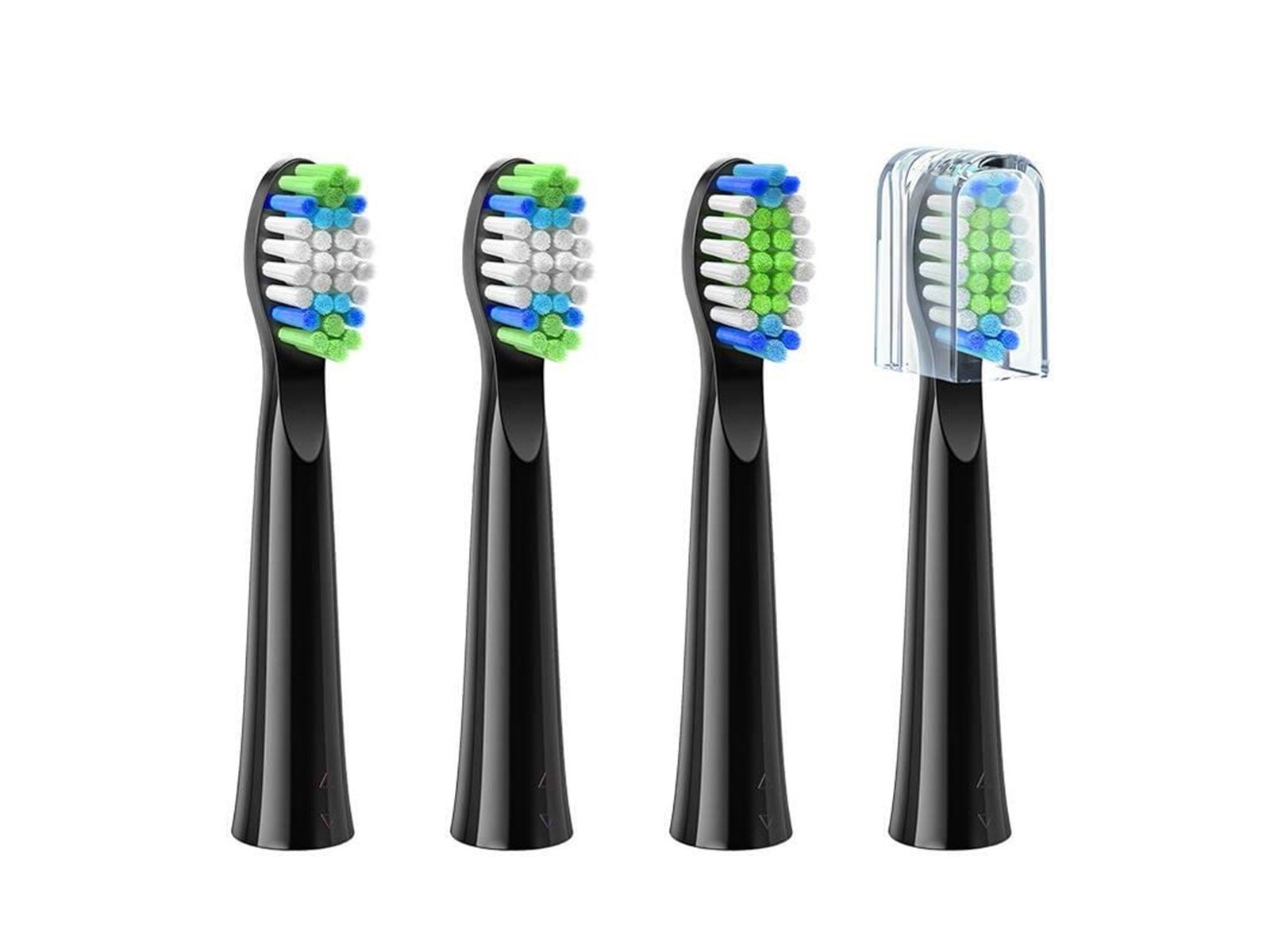 Bitvae Bürstenköpfe Toothbrush tips D2 (black)