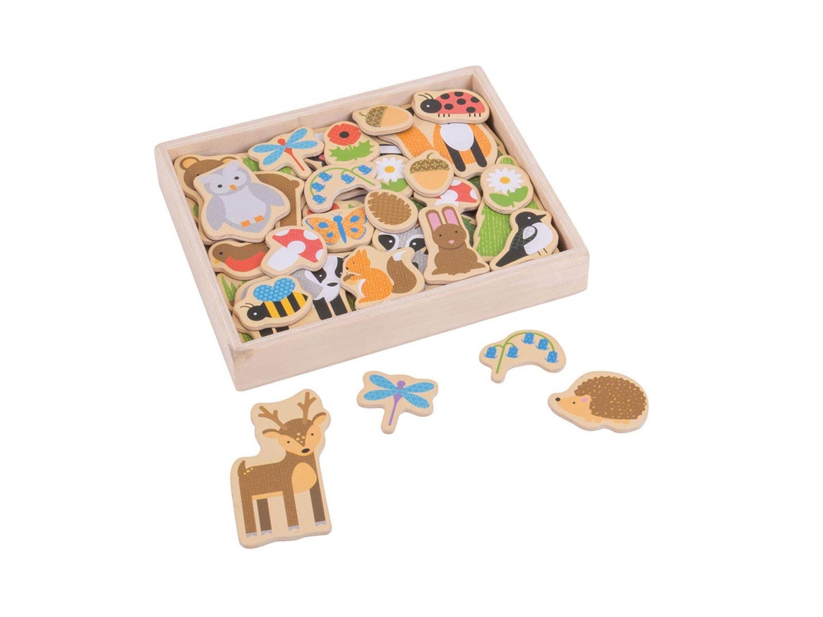 Bigjigs Wooden Magnets Bunch 35 pcs.