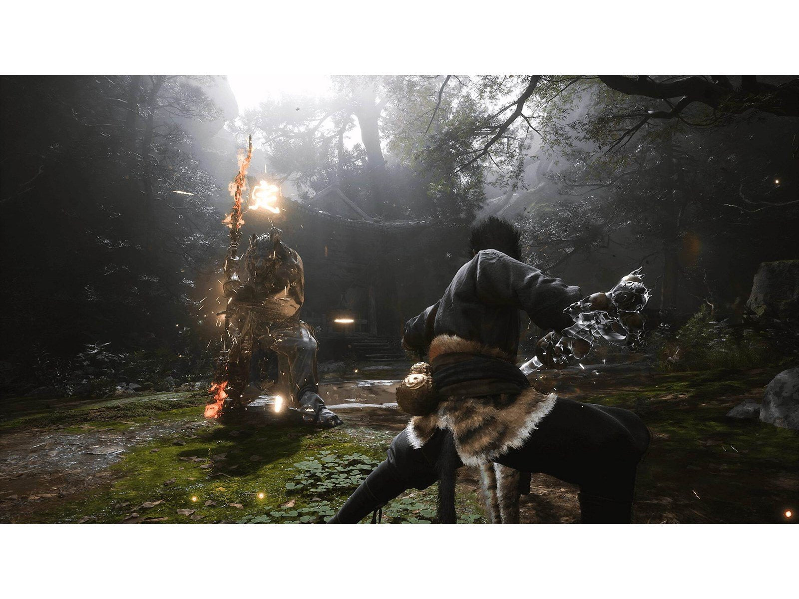 Black Myth: Wukong (Deluxe Edition) - Sony PlayStation 5 - RPG - PEGI 16