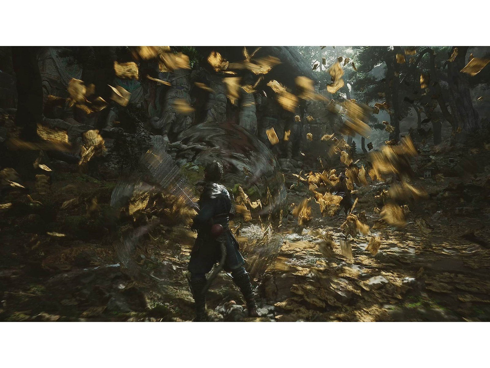 Black Myth: Wukong (Deluxe Edition) - Sony PlayStation 5 - RPG - PEGI 16