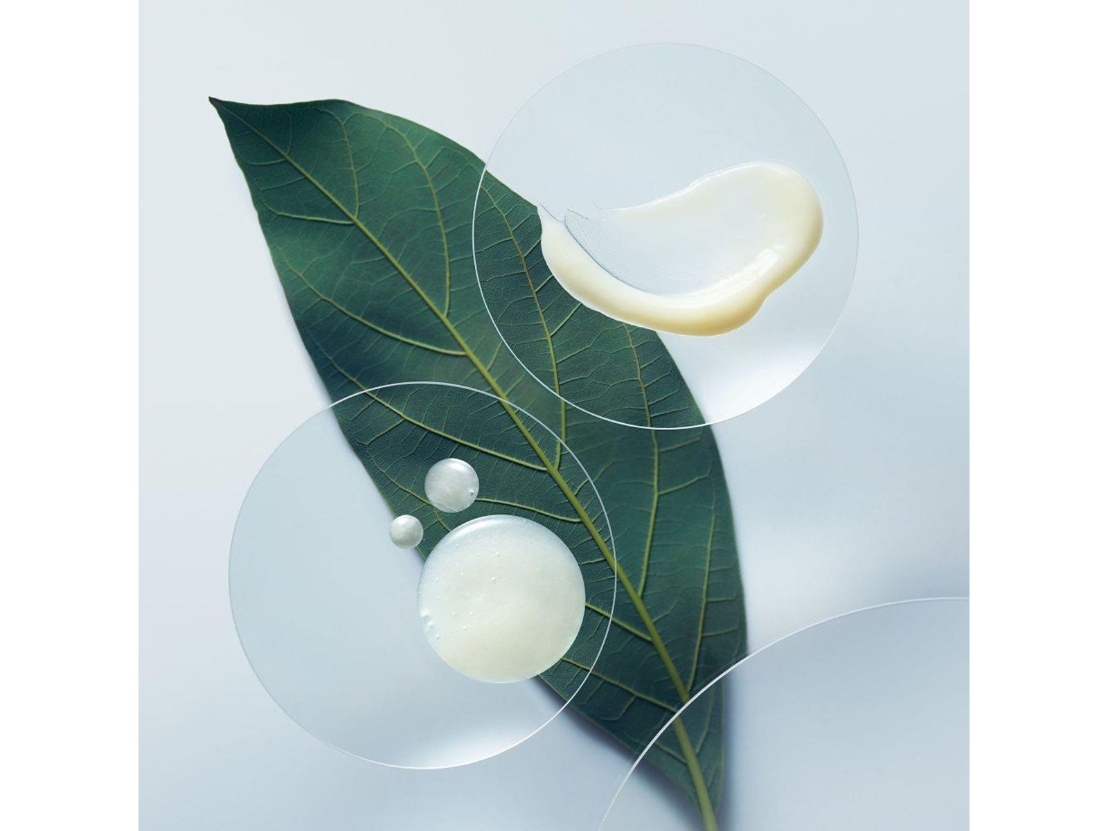 Aveda Botanical Repair Strengthening Shampoo For A