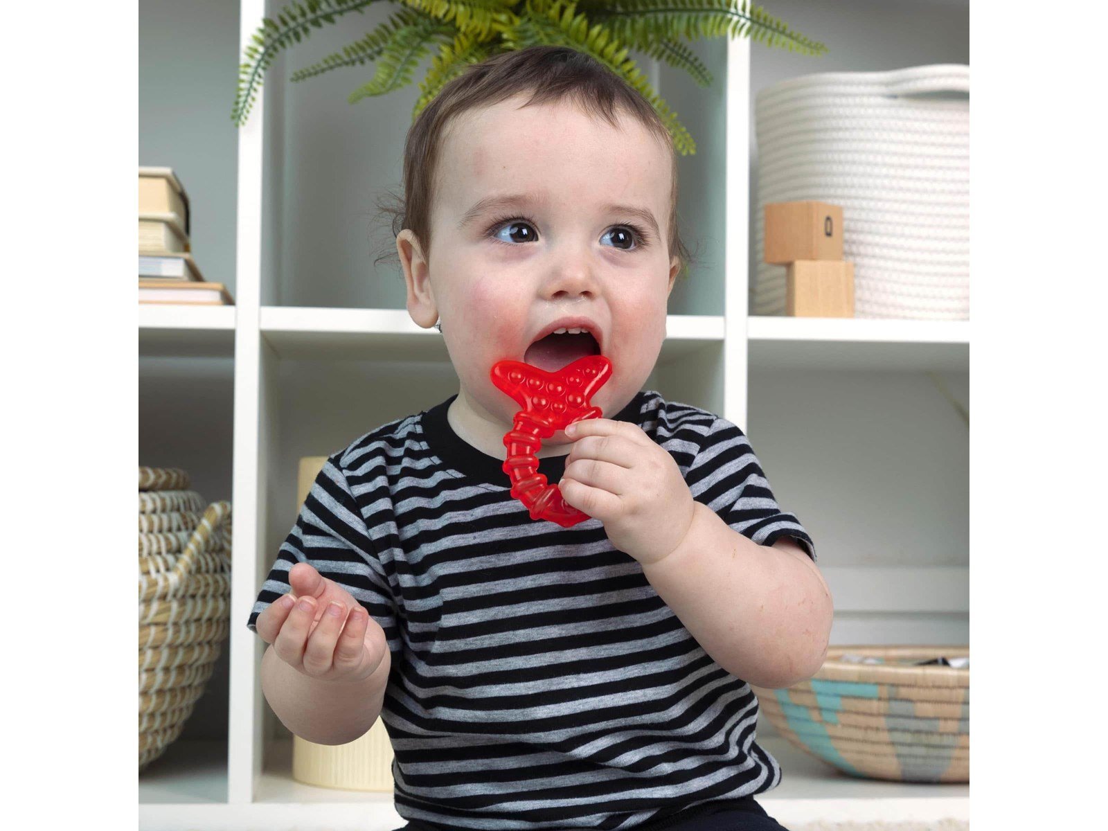 Baby Einstein Cool Critters™ Teether Toy Set