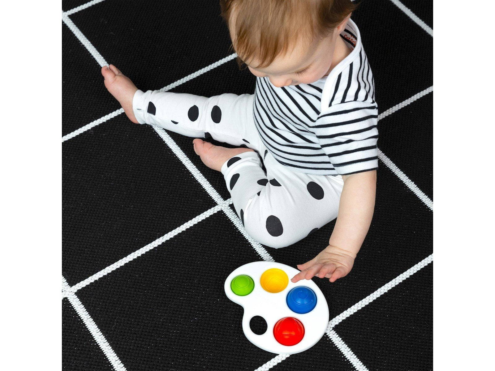 Baby Einstein Color Pop Palette™ Sensory Toy