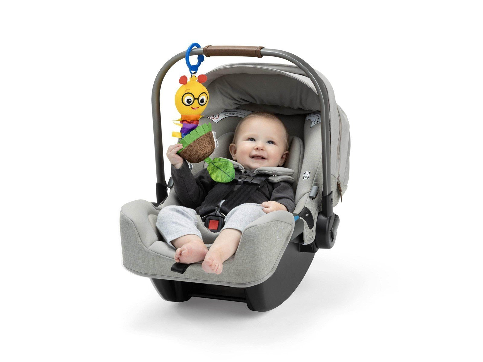 Baby Einstein Cal-a-Puller™ Aktivitätsspielzeug