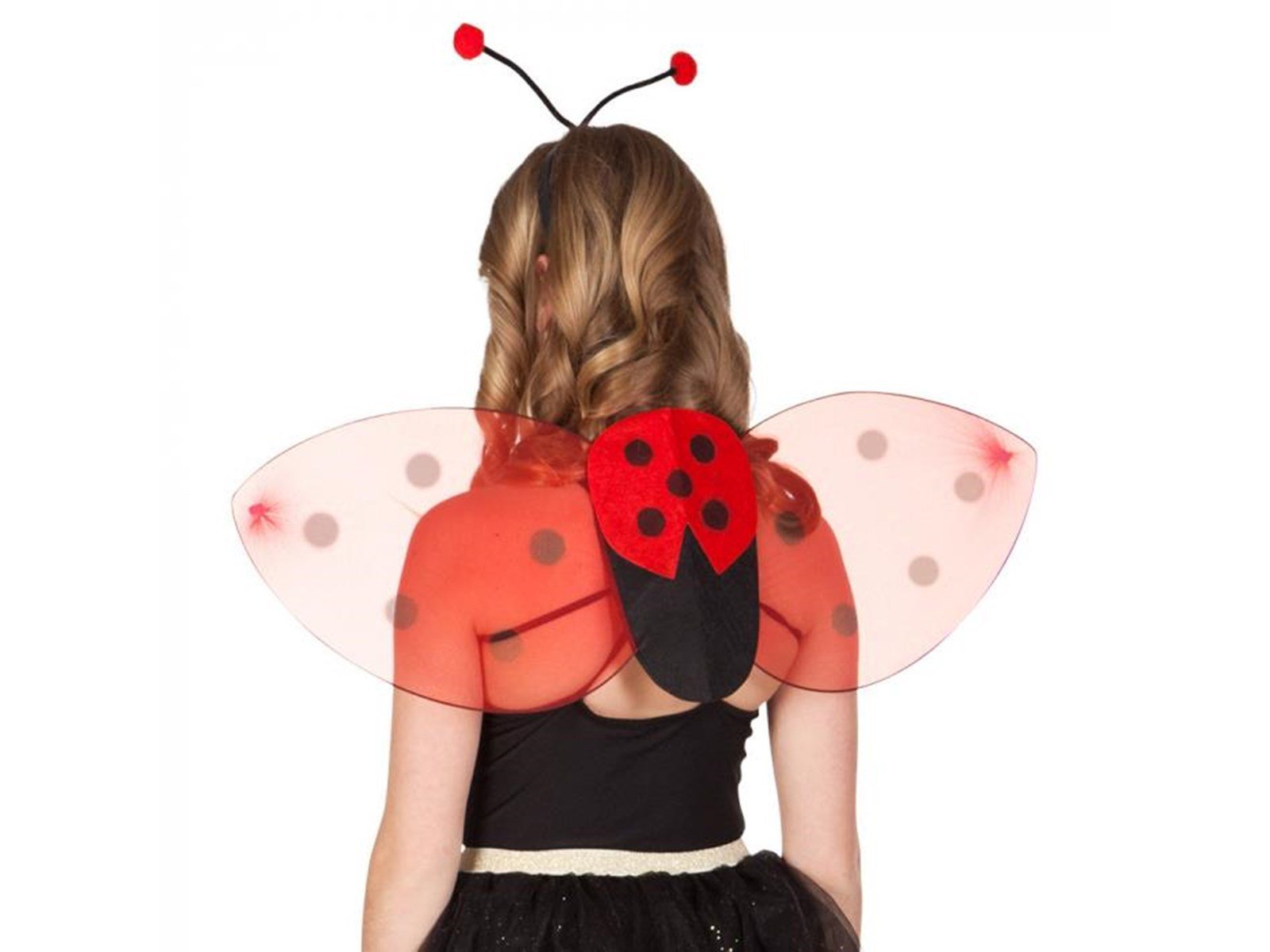 Boland Dress up set Ladybug